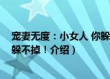 宠妻无度：小女人 你躲不掉！（关于宠妻无度：小女人 你躲不掉！介绍）
