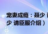 宠妻成瘾：聂少 请臣服（关于宠妻成瘾：聂少 请臣服介绍）