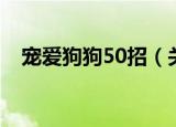 宠爱狗狗50招（关于宠爱狗狗50招介绍）