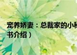 宠养娇妻：总裁家的小秘书（关于宠养娇妻：总裁家的小秘书介绍）