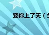 宠你上了天（关于宠你上了天介绍）