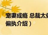 宠妻成瘾 总裁太偏执（关于宠妻成瘾 总裁太偏执介绍）
