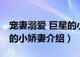 宠妻溺爱 巨星的小娇妻（关于宠妻溺爱 巨星的小娇妻介绍）