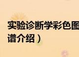 实验诊断学彩色图谱（关于实验诊断学彩色图谱介绍）