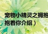 宠物小精灵之拥抱着你（关于宠物小精灵之拥抱着你介绍）