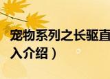 宠物系列之长驱直入（关于宠物系列之长驱直入介绍）