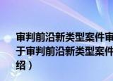 审判前沿新类型案件审判实务：2007年第2集总第18集（关于审判前沿新类型案件审判实务：2007年第2集总第18集介绍）