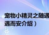 宠物小精灵之随遇而安（关于宠物小精灵之随遇而安介绍）