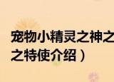宠物小精灵之神之特使（关于宠物小精灵之神之特使介绍）