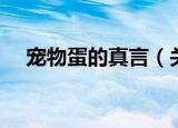 宠物蛋的真言（关于宠物蛋的真言介绍）
