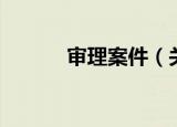 审理案件（关于审理案件介绍）