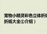 宠物小精灵彩色立体折纸大全①（关于宠物小精灵彩色立体折纸大全①介绍）