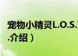 宠物小精灵L.O.S.T.（关于宠物小精灵L.O.S.T.介绍）