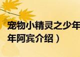 宠物小精灵之少年阿宾（关于宠物小精灵之少年阿宾介绍）