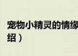宠物小精灵的情缘（关于宠物小精灵的情缘介绍）