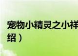 宠物小精灵之小祥（关于宠物小精灵之小祥介绍）
