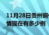 11月28日贵州铜仁疫情新增多少例及铜仁疫情现在有多少例