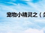 宠物小精灵之（关于宠物小精灵之介绍）
