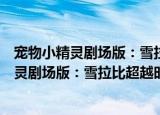 宠物小精灵剧场版：雪拉比超越时空的遭遇（关于宠物小精灵剧场版：雪拉比超越时空的遭遇介绍）