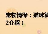 宠物情缘：猫咪篇2（关于宠物情缘：猫咪篇2介绍）