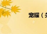 宠耀（关于宠耀介绍）