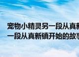 宠物小精灵另一段从真新镇开始的故事（关于宠物小精灵另一段从真新镇开始的故事介绍）