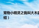 宠物小精灵之我叫大木盛（关于宠物小精灵之我叫大木盛介绍）