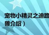 宠物小精灵之迪路兽（关于宠物小精灵之迪路兽介绍）