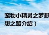 宠物小精灵之梦想之路（关于宠物小精灵之梦想之路介绍）