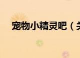 宠物小精灵吧（关于宠物小精灵吧介绍）