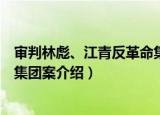 审判林彪、江青反革命集团案（关于审判林彪、江青反革命集团案介绍）