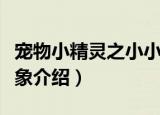 宠物小精灵之小小象（关于宠物小精灵之小小象介绍）