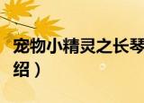 宠物小精灵之长琴（关于宠物小精灵之长琴介绍）