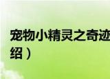 宠物小精灵之奇迹（关于宠物小精灵之奇迹介绍）
