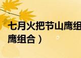 七月火把节山鹰组合舞蹈视频（七月火把节山鹰组合）