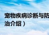 宠物疾病诊断与防治（关于宠物疾病诊断与防治介绍）