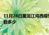 11月28日黑龙江鸡西疫情新增多少例及鸡西新冠疫情累计人数多少
