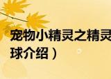 宠物小精灵之精灵球（关于宠物小精灵之精灵球介绍）