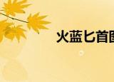 火蓝匕首图片（火蓝匕首）