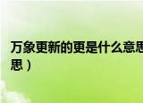万象更新的更是什么意思,亡羊补牢（万象更新的更是什么意思）