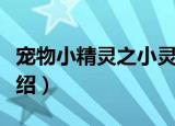 宠物小精灵之小灵（关于宠物小精灵之小灵介绍）