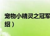 宠物小精灵之冠军（关于宠物小精灵之冠军介绍）