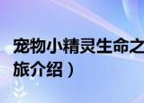 宠物小精灵生命之旅（关于宠物小精灵生命之旅介绍）