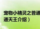 宠物小精灵之普通天王（关于宠物小精灵之普通天王介绍）
