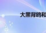 大黑背鸥和鱼鹰（大黑背鸥）