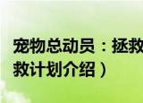宠物总动员：拯救计划（关于宠物总动员：拯救计划介绍）