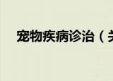 宠物疾病诊治（关于宠物疾病诊治介绍）