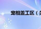 宠相盖工区（关于宠相盖工区介绍）