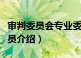 审判委员会专业委员（关于审判委员会专业委员介绍）