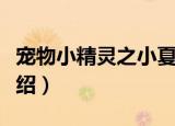 宠物小精灵之小夏（关于宠物小精灵之小夏介绍）
